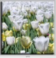 /album/photo-gallery-canvas-uri/decoratiuni-de-perete-canvas-lc-0773-jpg/